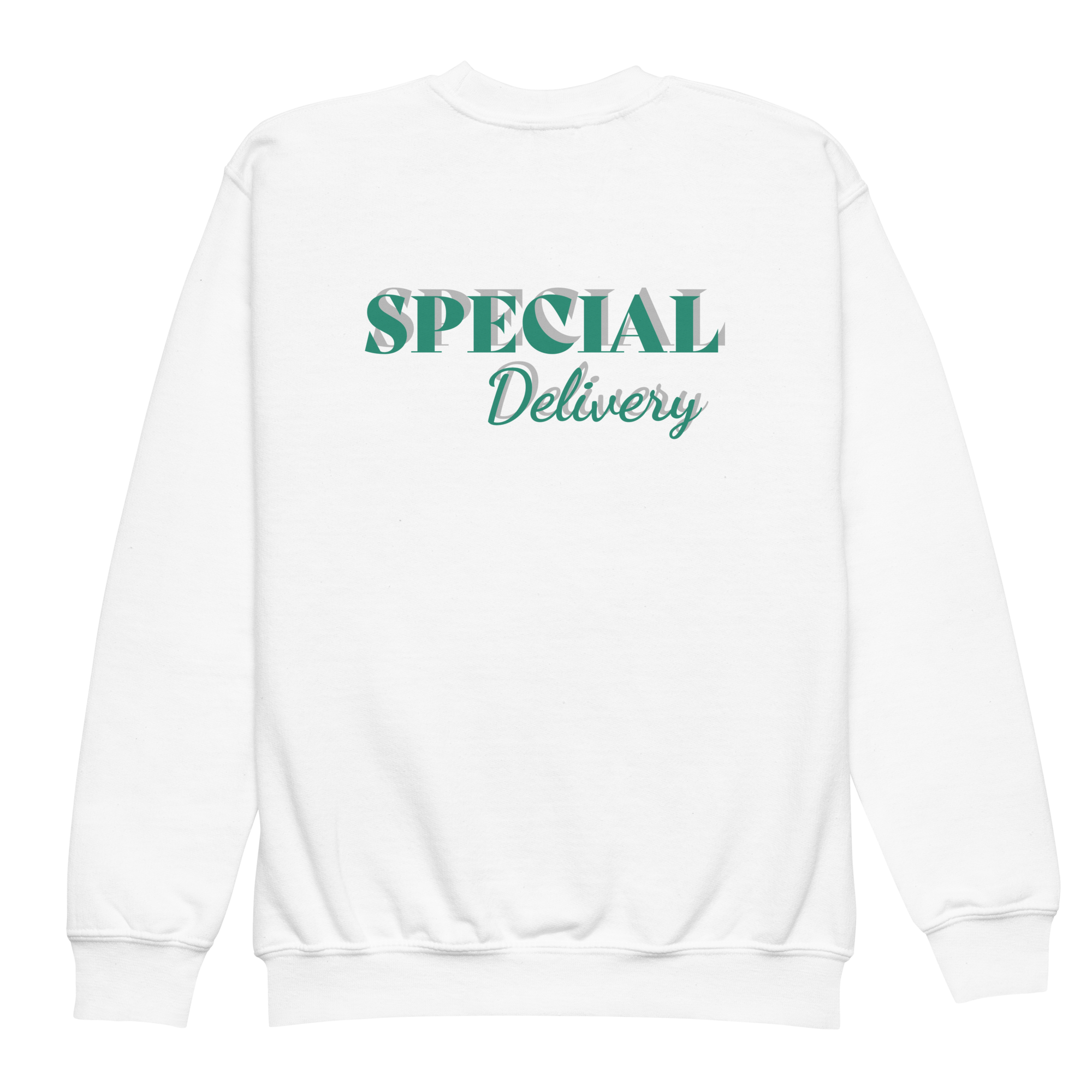 youth-crew-neck-sweatshirt-white-back-6828dc7c4f76f.png