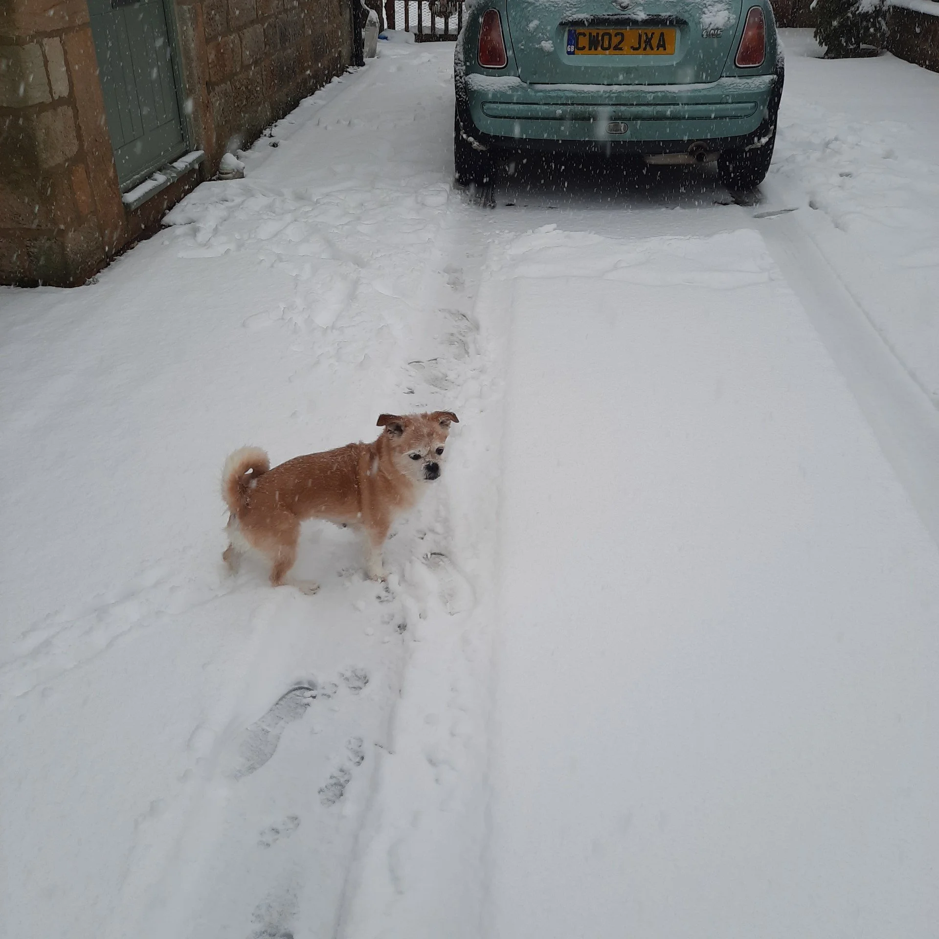 snow.jpeg