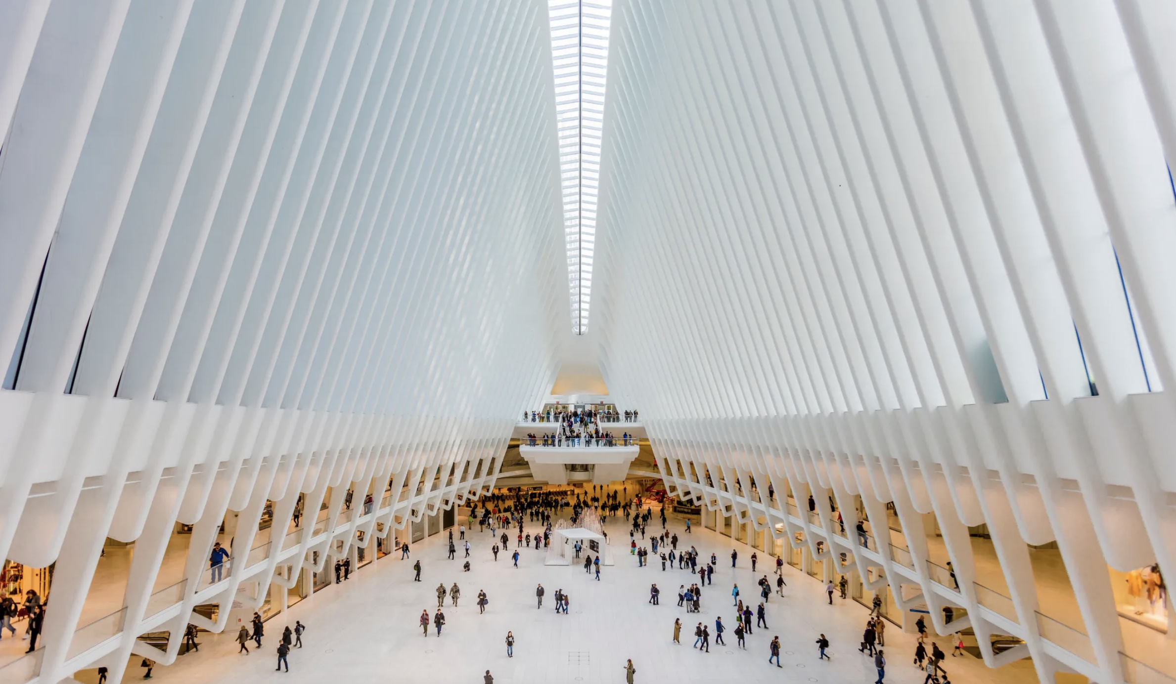 The Oculus