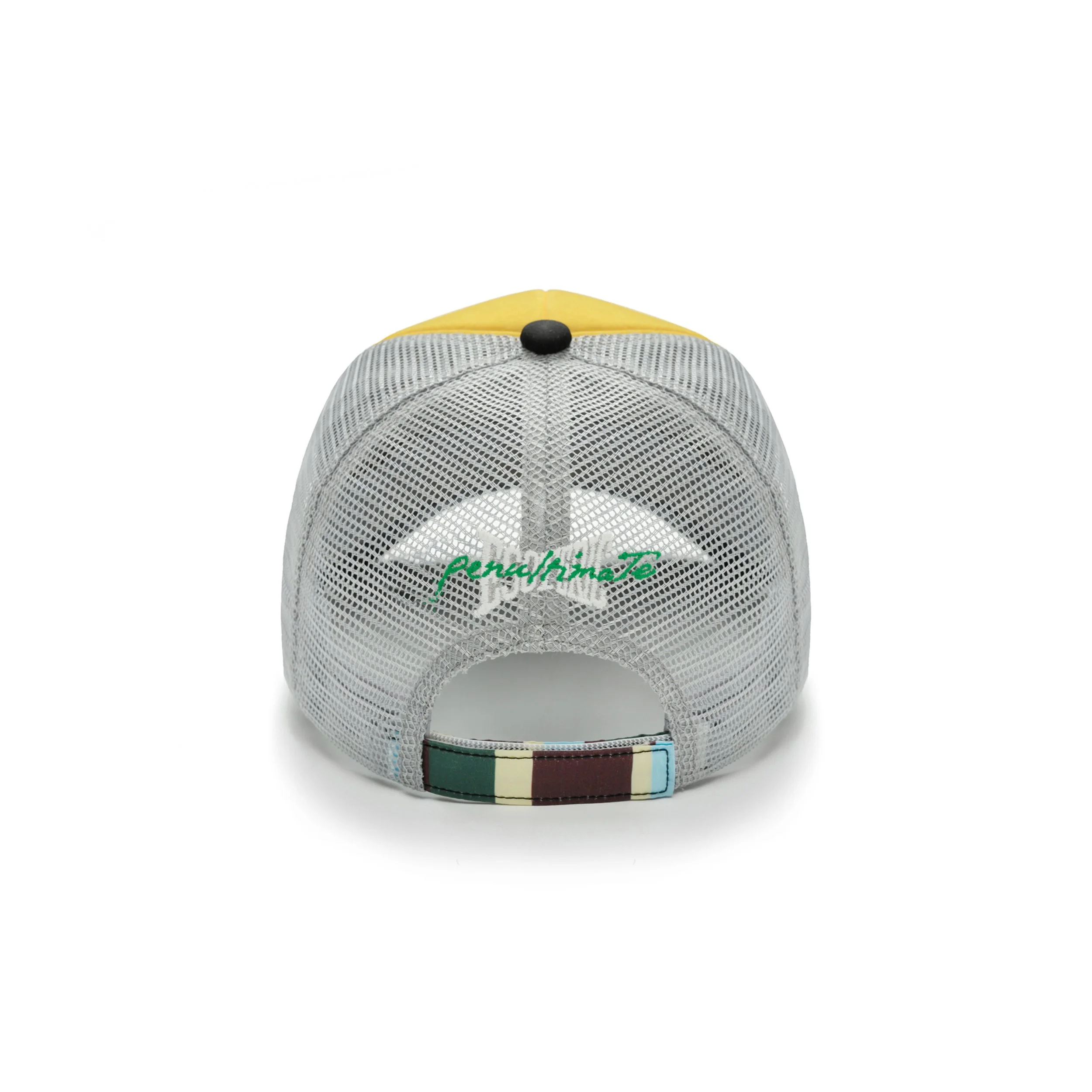 _0075_陶瓷犬像卡车帽_黑黄 _4.jpg