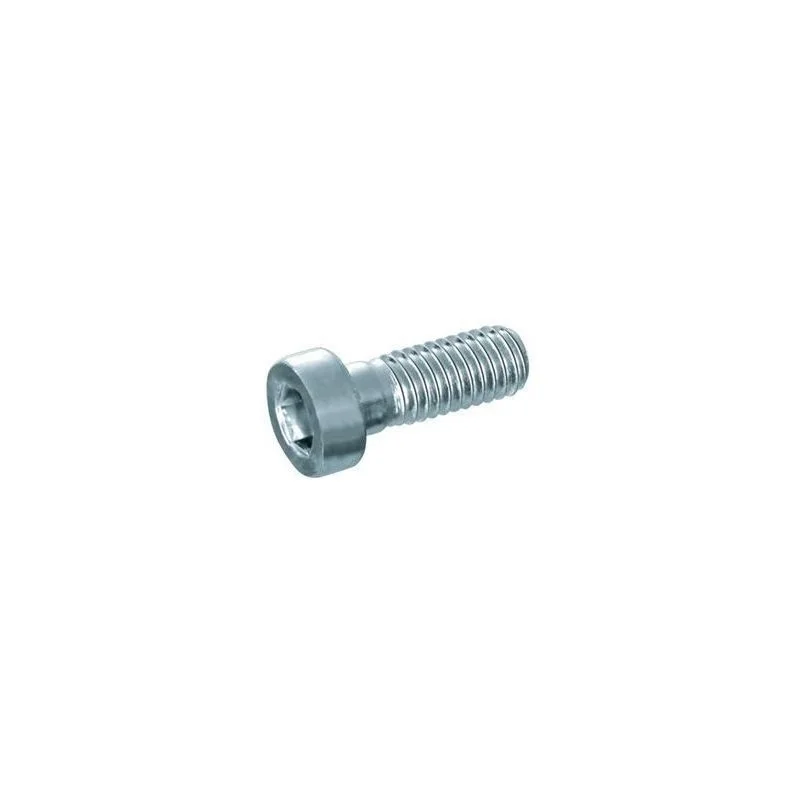 N°16 Socket head cap screw M5x16 for camshaft until 2022