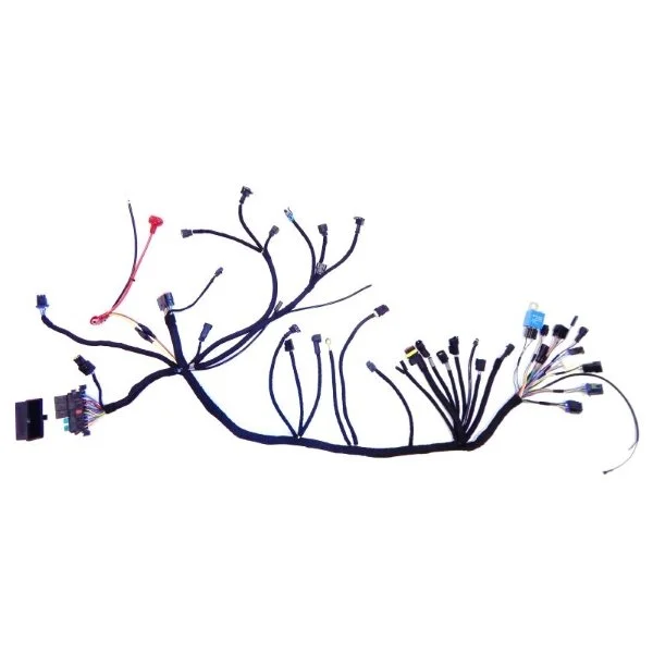 N°1 Main wire harness