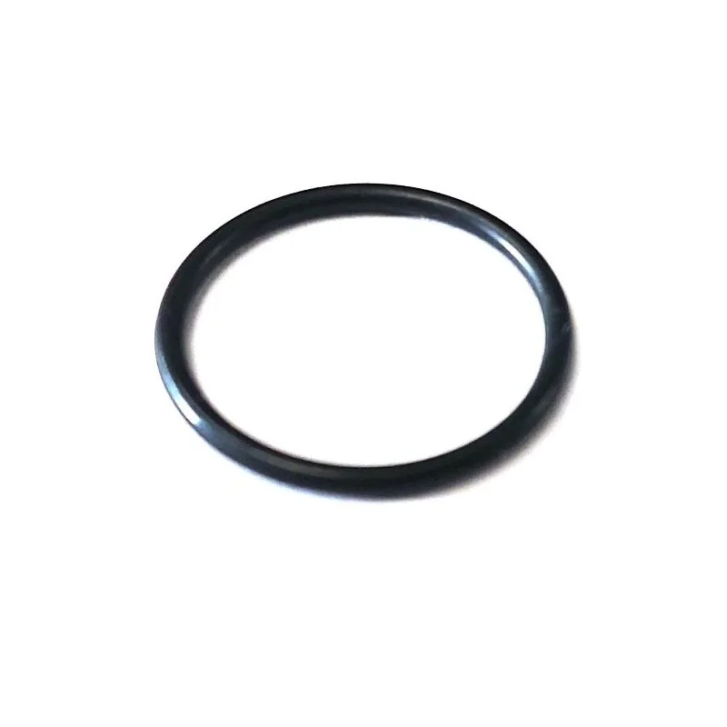 N°46 O-ring for idle speed adjust for intake