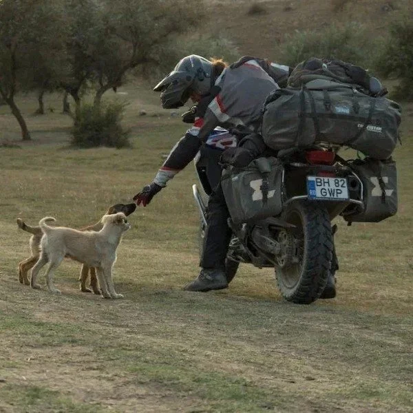Las bolsas Moonsoon 3 de la marca Enduristan son un accesorio compatible con los sidecares de la marca Ural Motorcycles