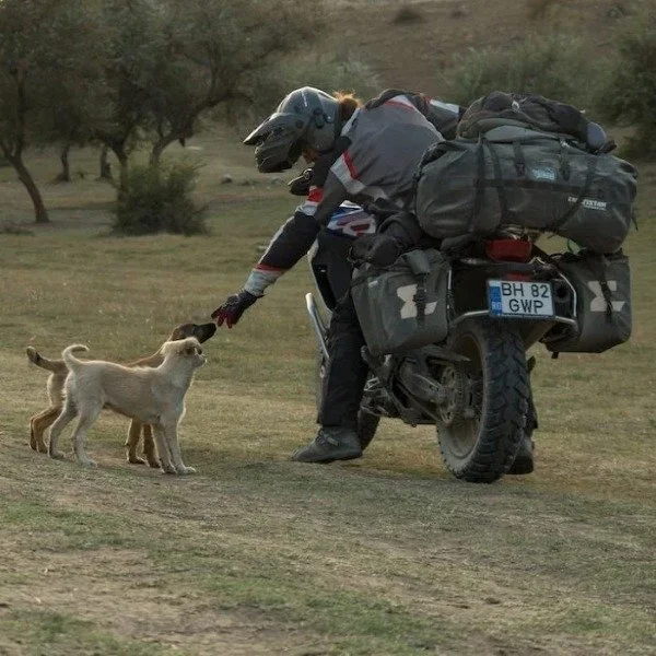 Enduristan Moonsoon 3 bags are accessories compatible with Ural Motorcycles sidecars.