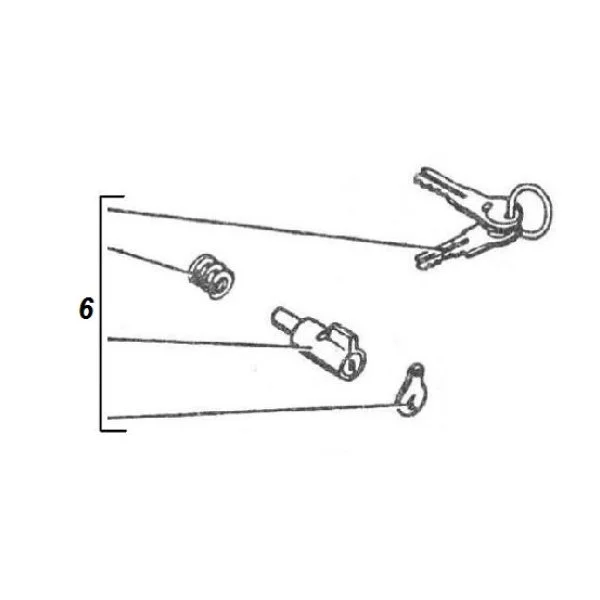 N°6 Steering lock