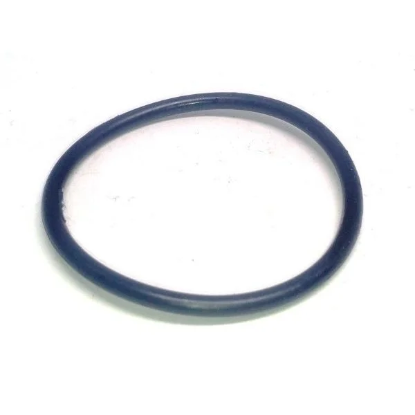 Oil filter plug O-ring