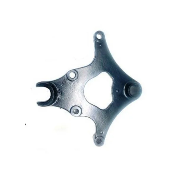 N°19 Bracket for rear caliper from VIN 231852 for the rear brake since 2021