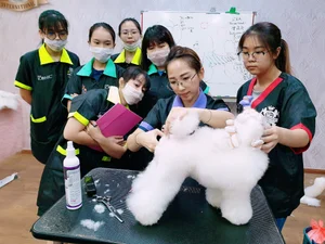 User | times-online.com - Pawmenities Named Fastest-Growing Pet ...