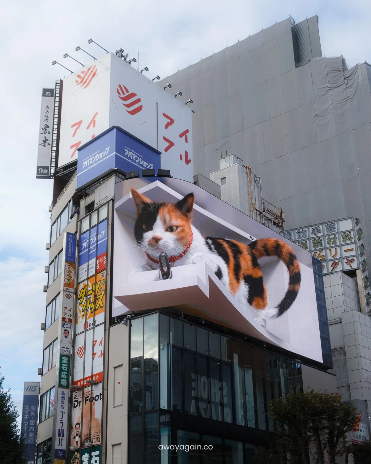 Shinjuku_CatBillboard.jpg