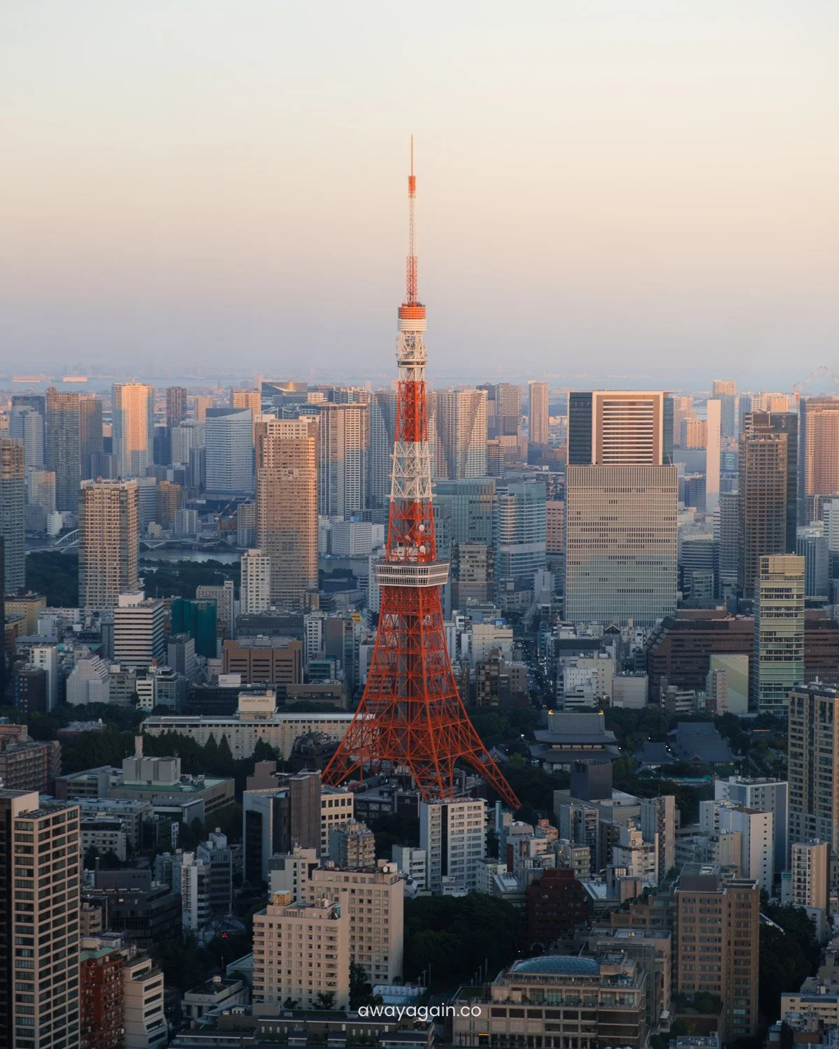 Tokyo_TokyoTower.jpg