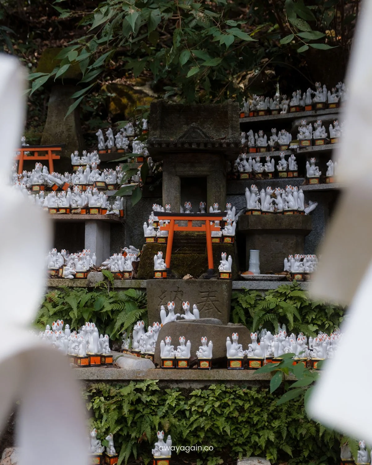 Kamakura_Sasuke Inari.jpg
