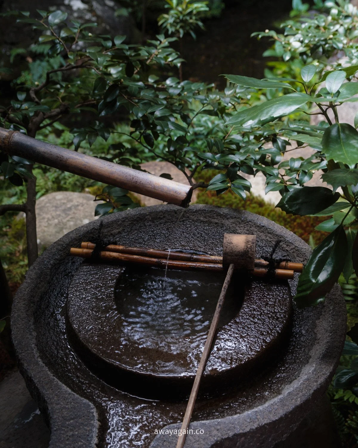 20241107-_DSF6345.jpg