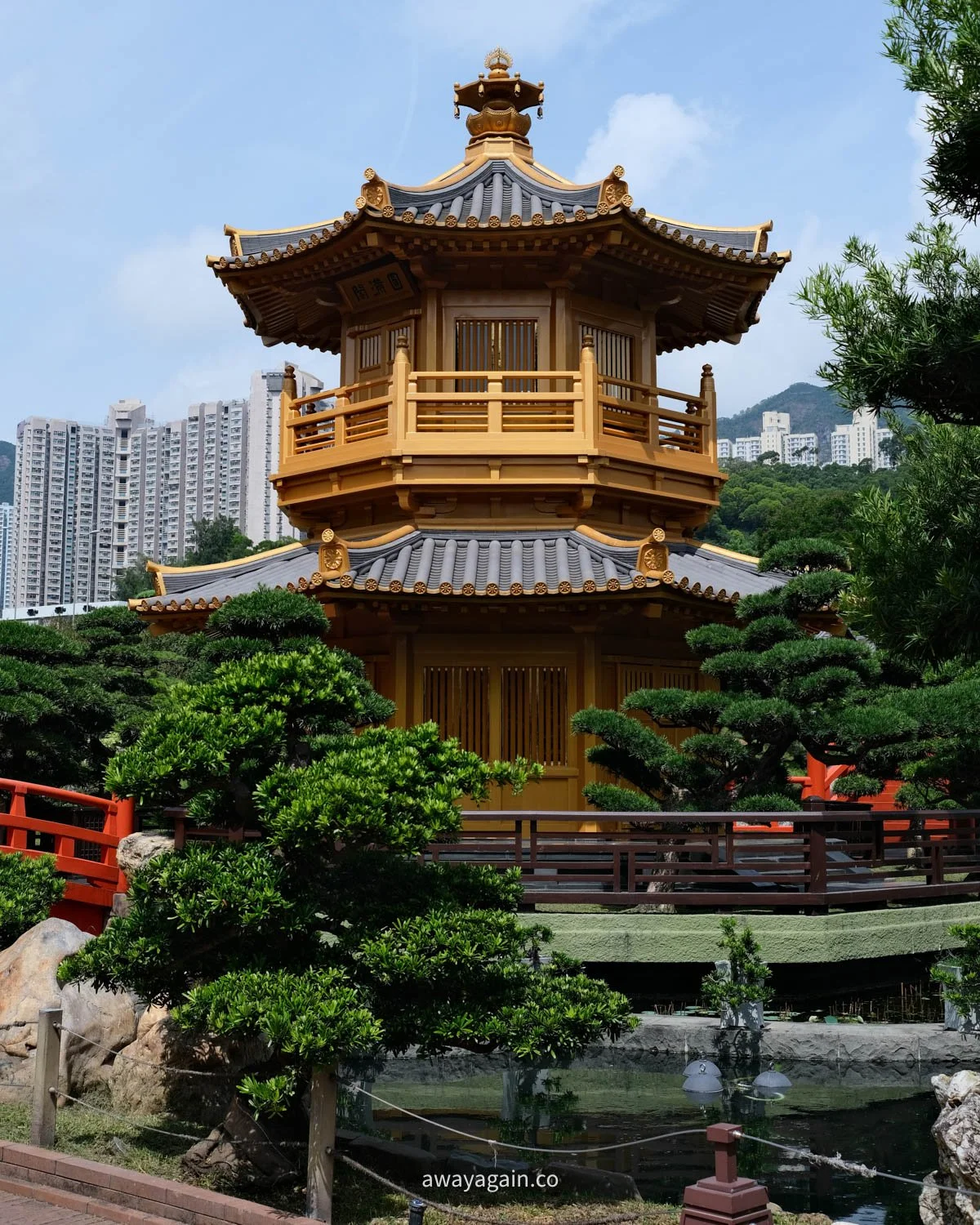 DSCF1406.jpg