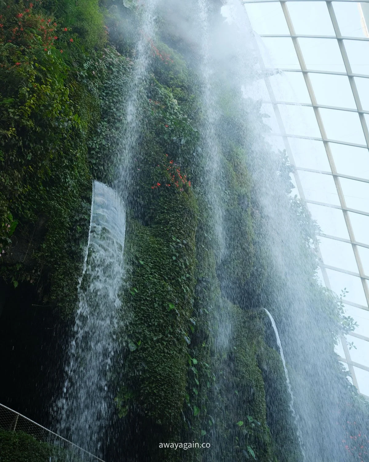 DSCF2249.jpg