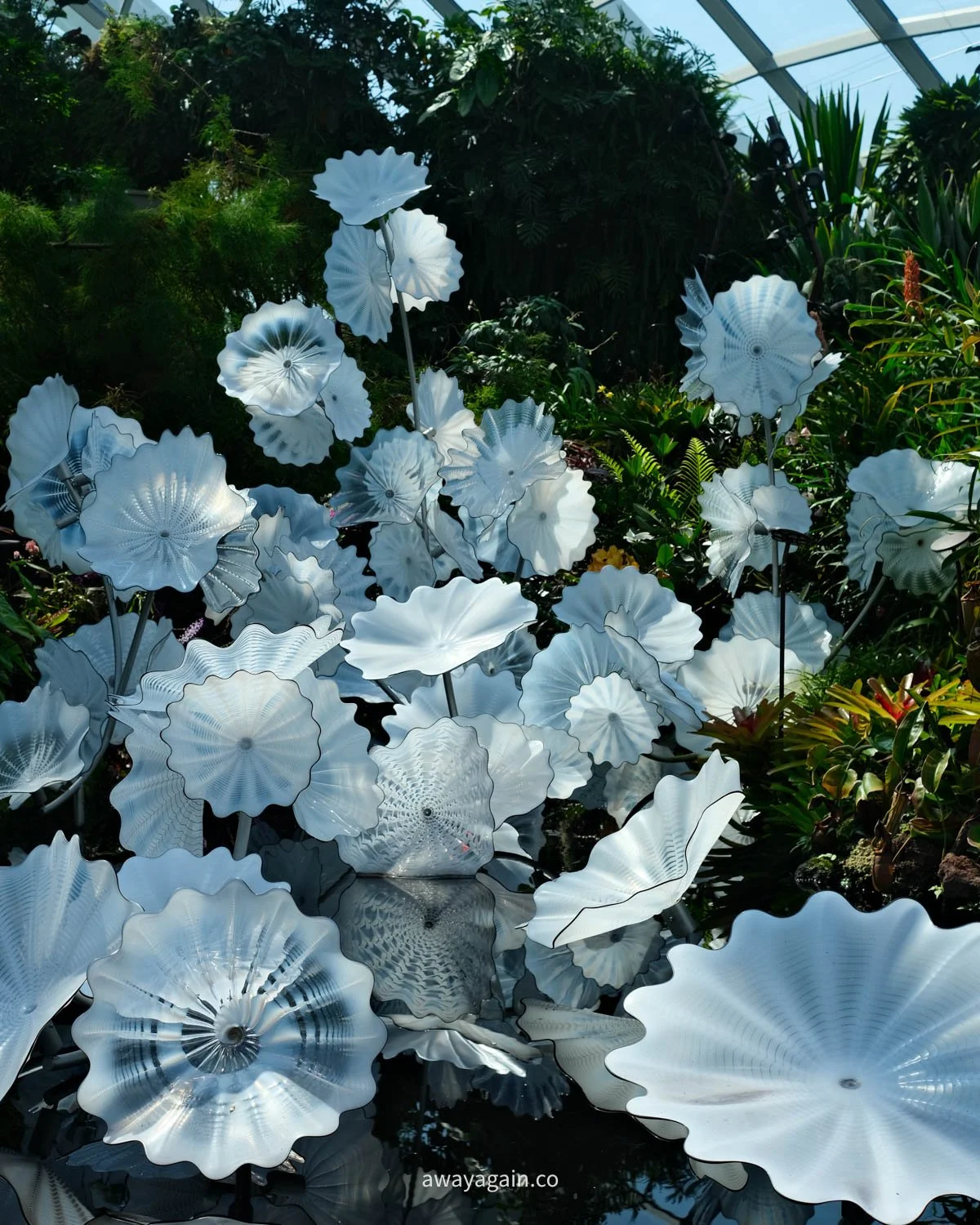 DSCF2263.jpg