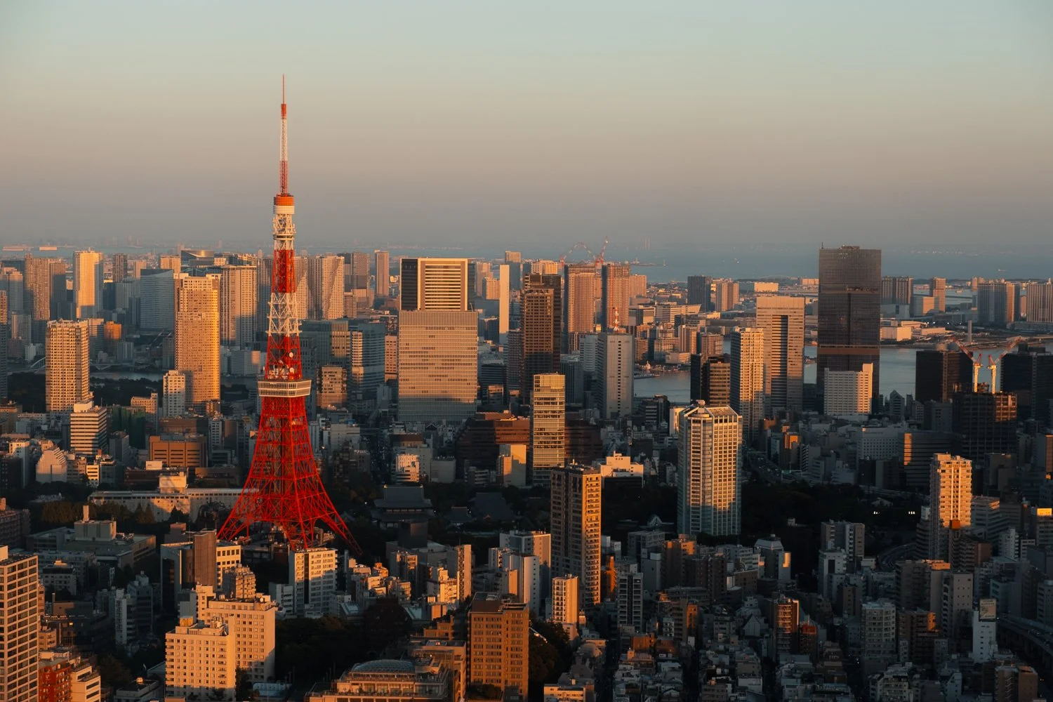 13 Things to do in Tokyo, Japan