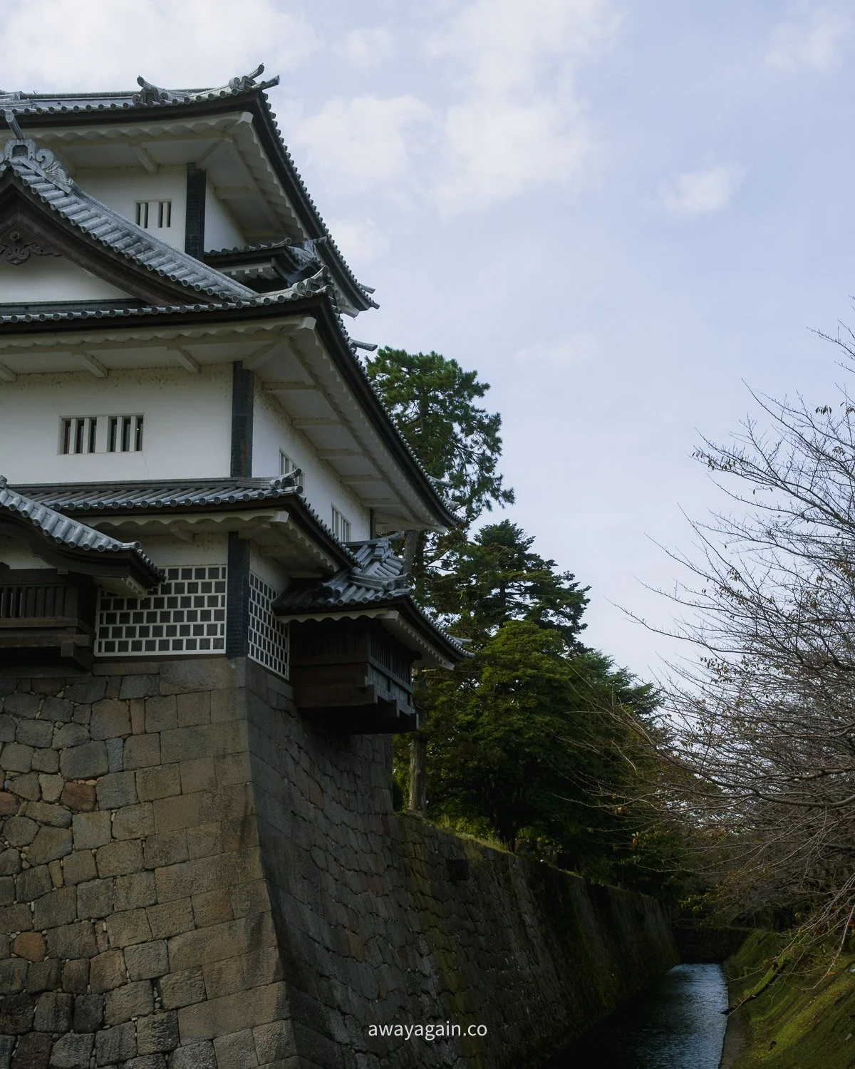 20241105-_DSF5102.jpg