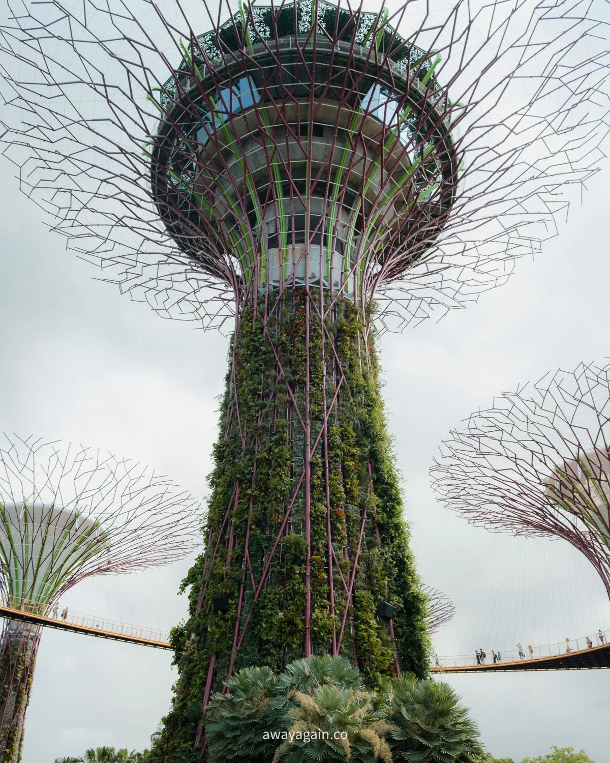 11 Things to do in Singapore for first timers