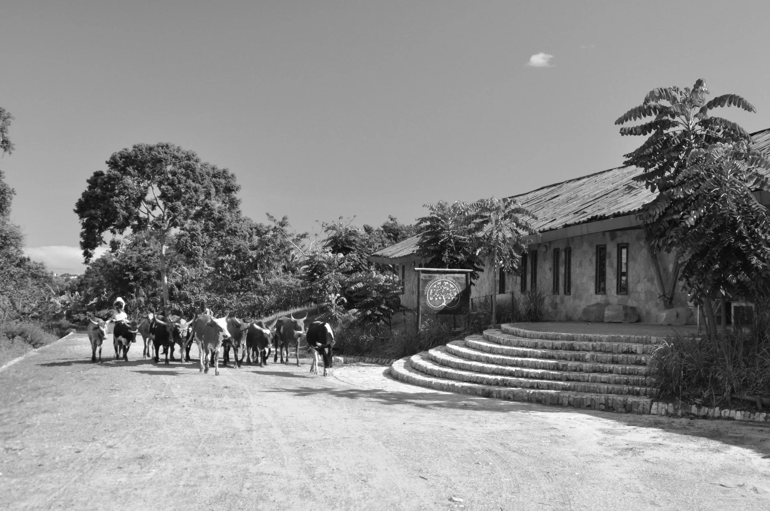 Sentema Town Mustardseed School — The Landscape Studio