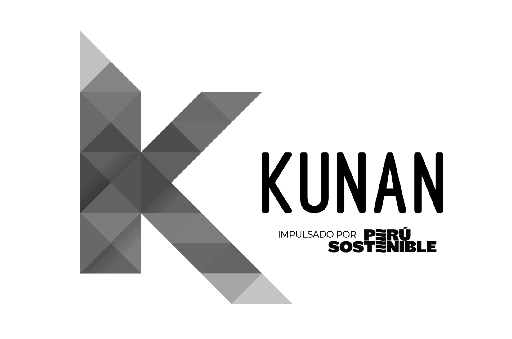 IMAPPIN DATOS TERRITORIO INFORMACION INFORMALIDAD INFORMAL DATA MAPAS MAPPING URBANISMO TECNOLOGIA  ASENTAMIENTOS INFORMALES BARRIOS POPULARES ANALITICA