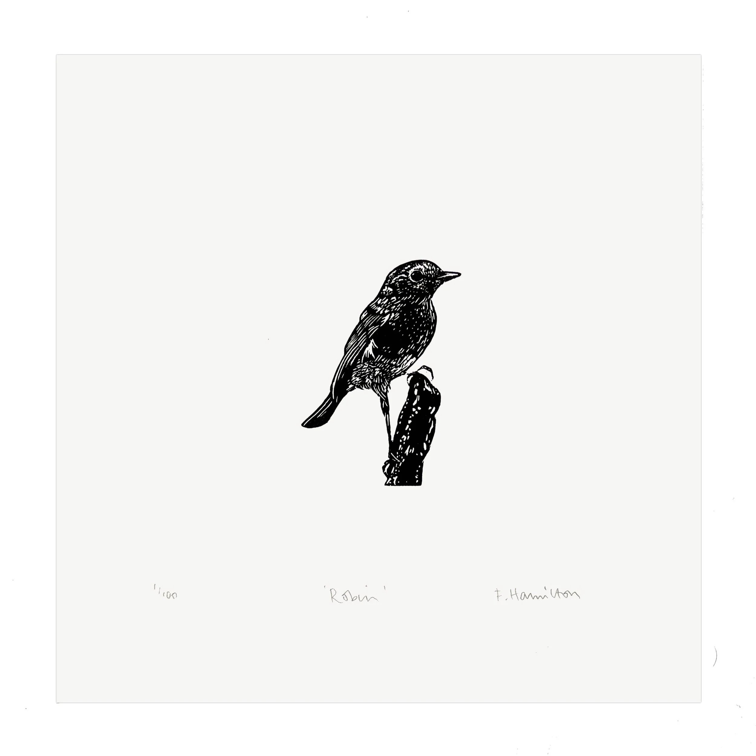 wood-robin-flat-1-1.jpg
