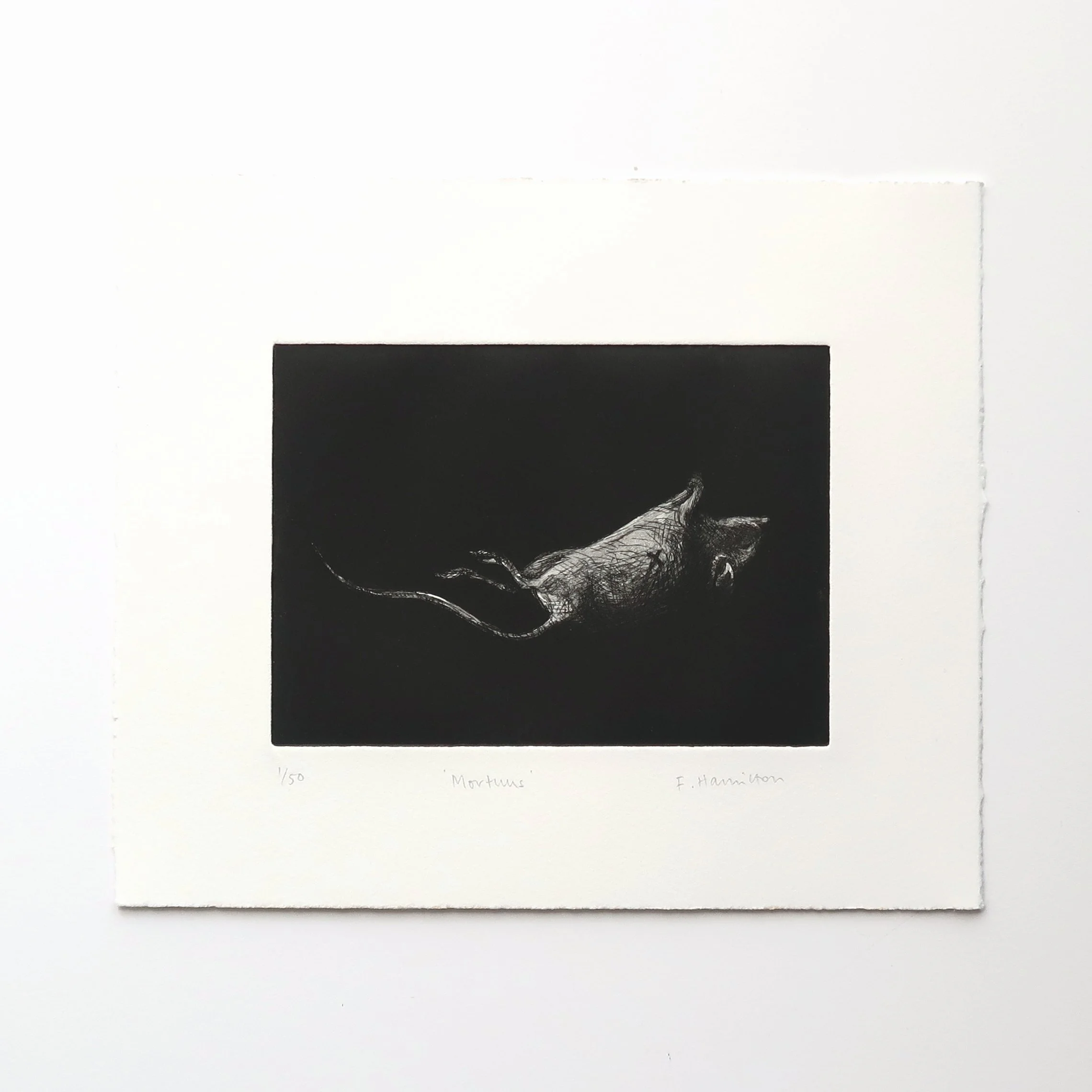 'Mortus', aquatint and hard ground etching, 2022