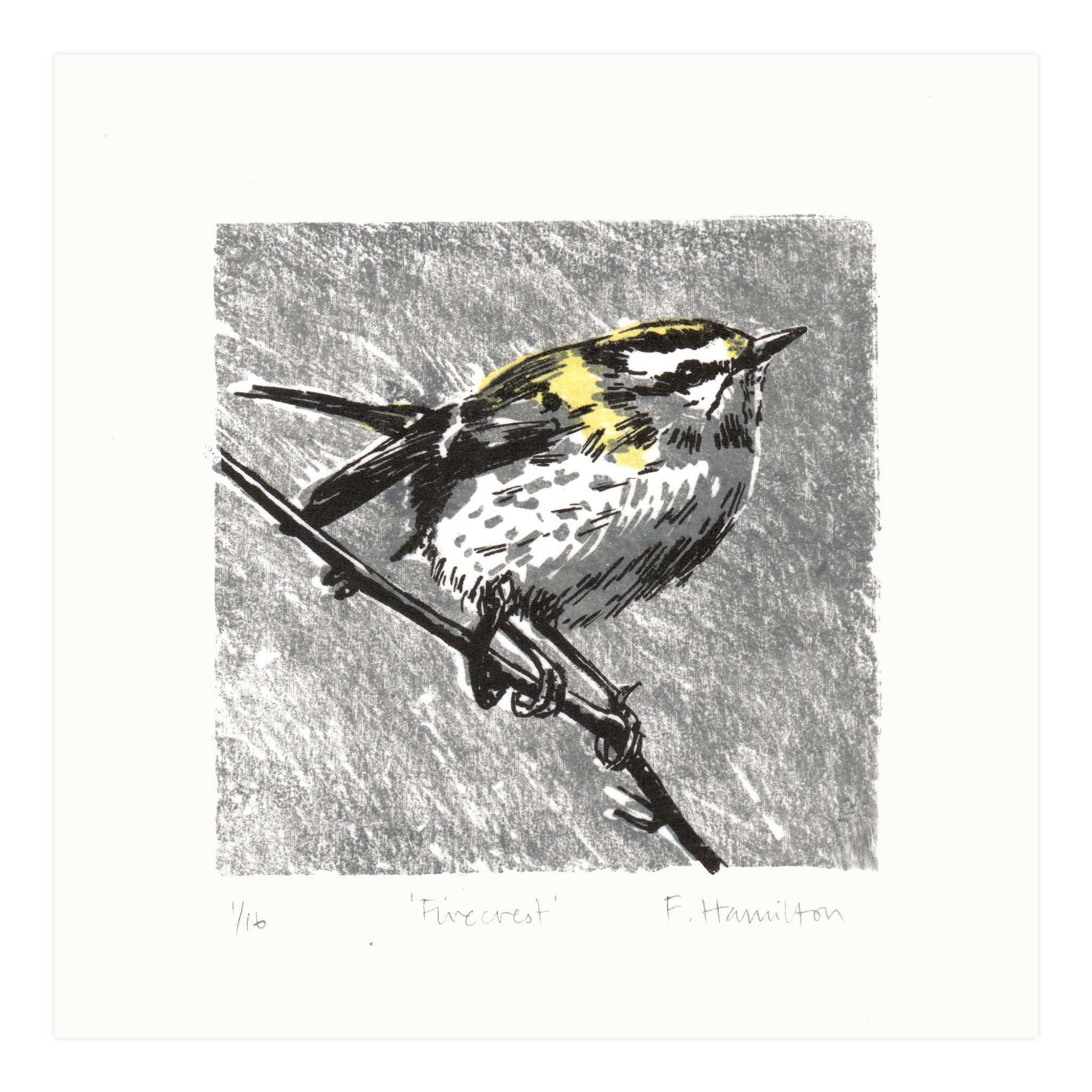 fiona-hamilton-firecrest-lithograph.jpg