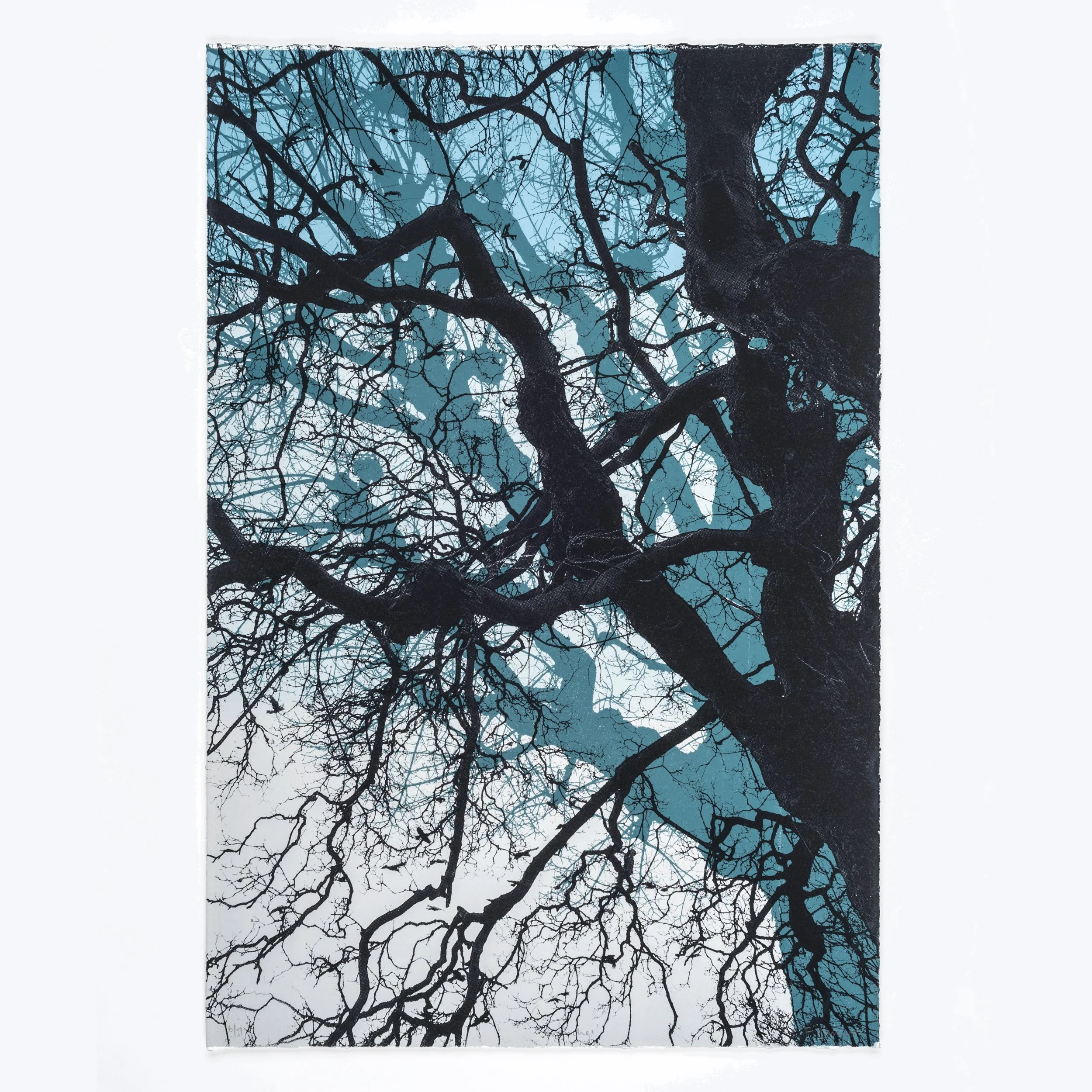 'Branches - blue', screenprint, 2021
