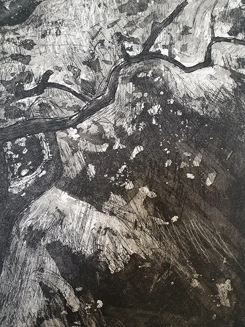 westonbirt oak studio 2.jpg