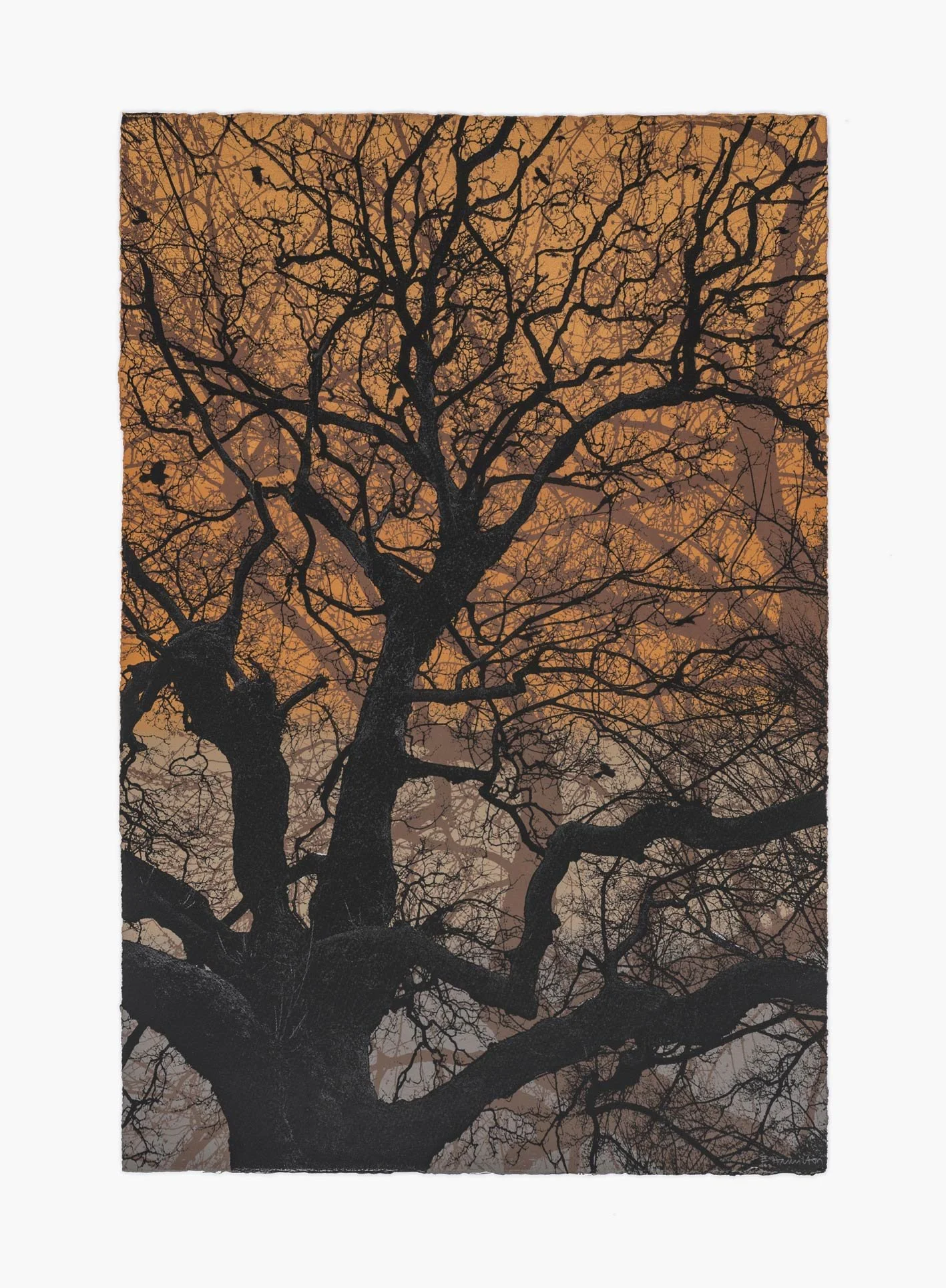 branches-gld-2.jpg