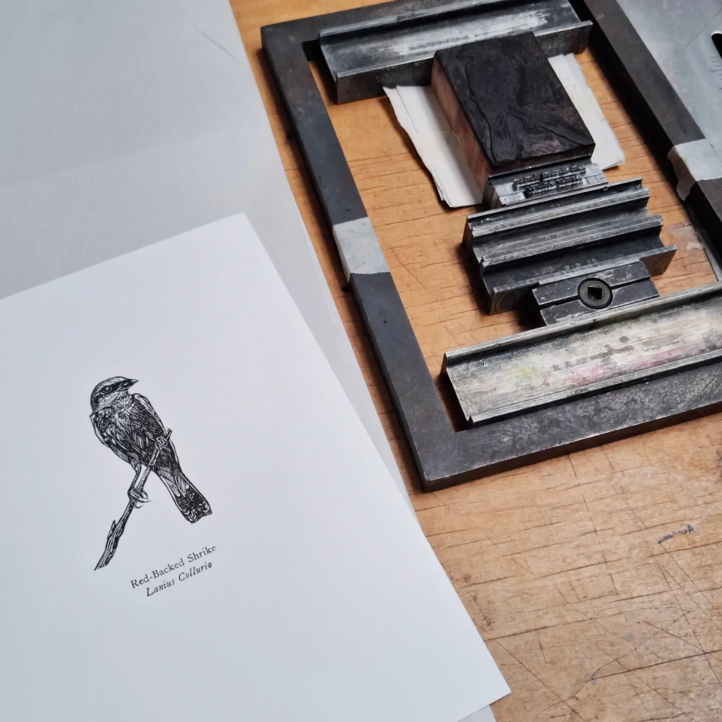 rn-image_picker_lib_temp_704804fe-91fb-4c06-a606-dfa43149c183 (1).webp