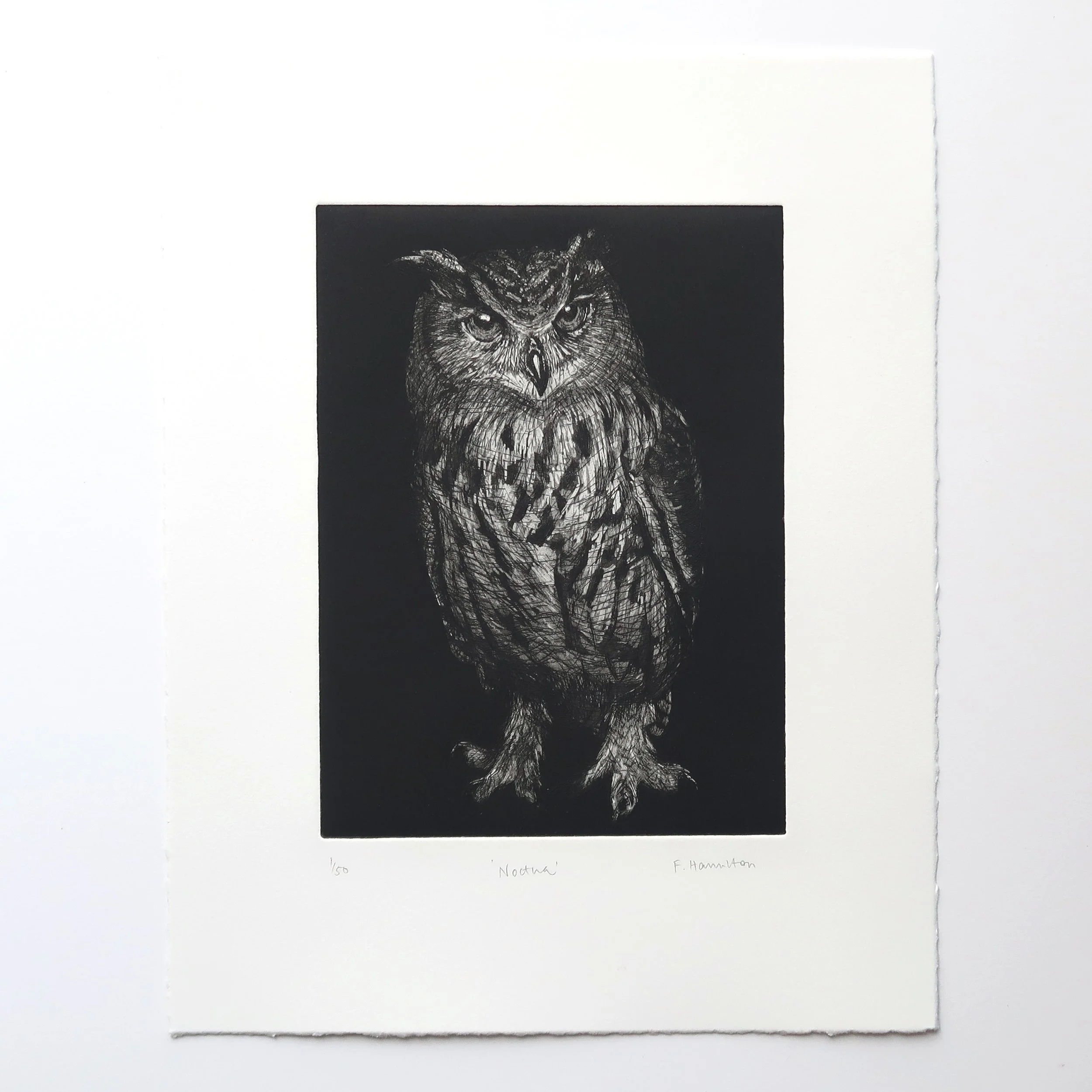 'Noctus', aquatint and hard ground etching, 2022