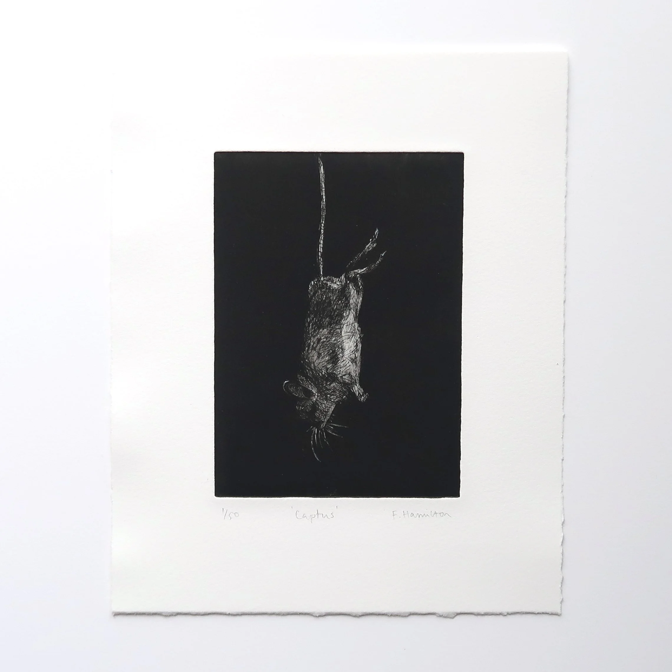'Captus', aquatint and hard ground etching, 2022
