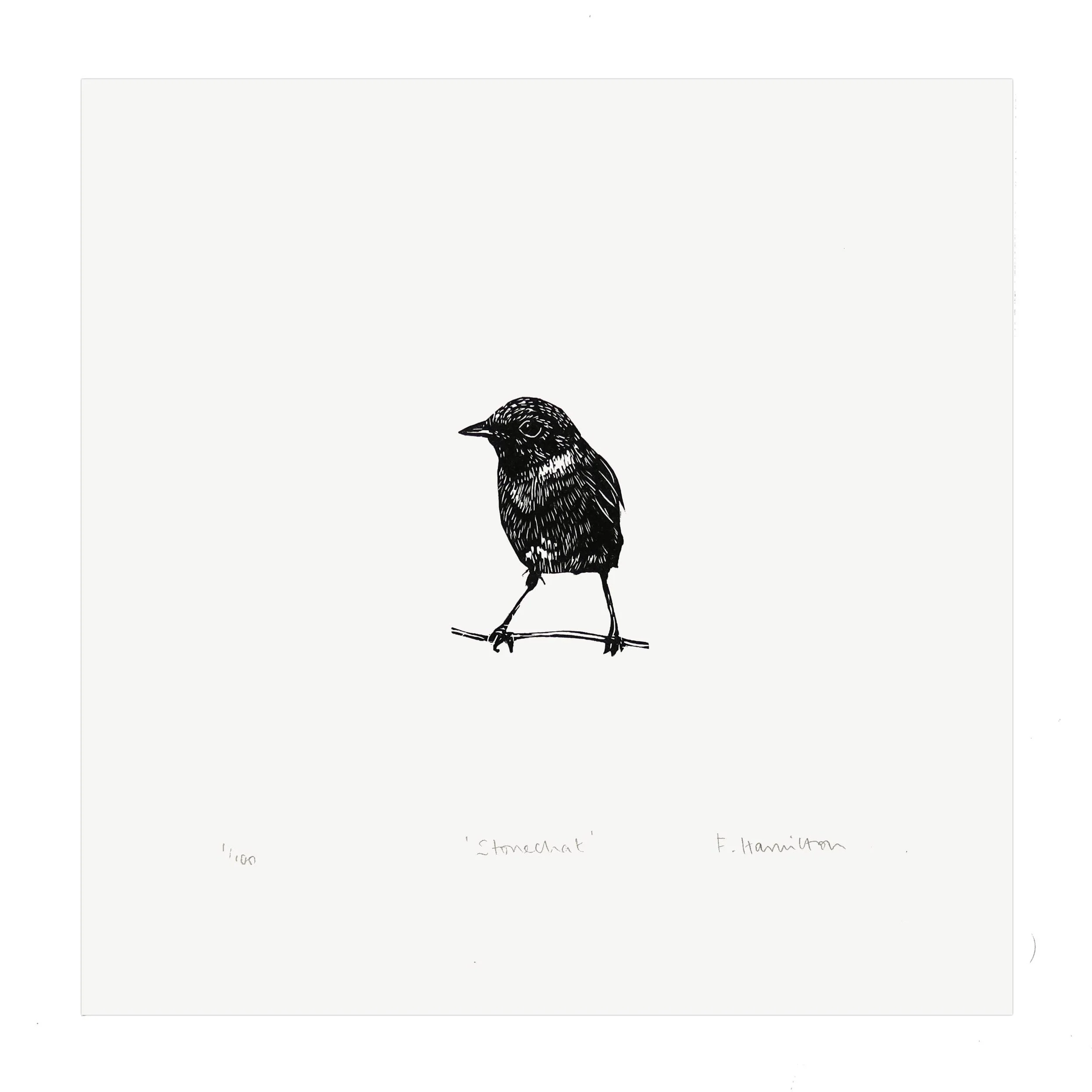 wood-stonechat-flat-1-1.jpg