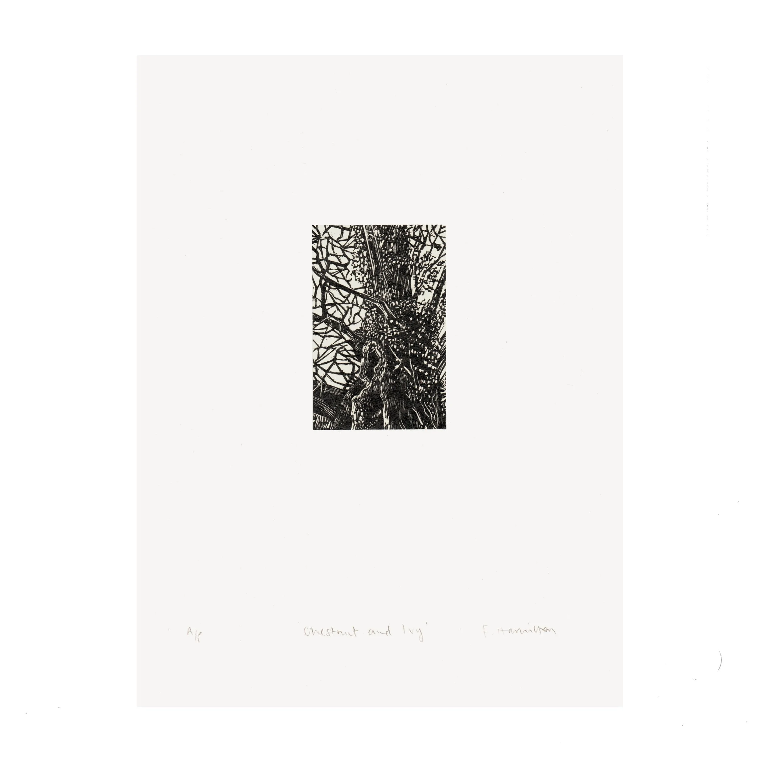 wood chestnut ivy flat 1.jpg