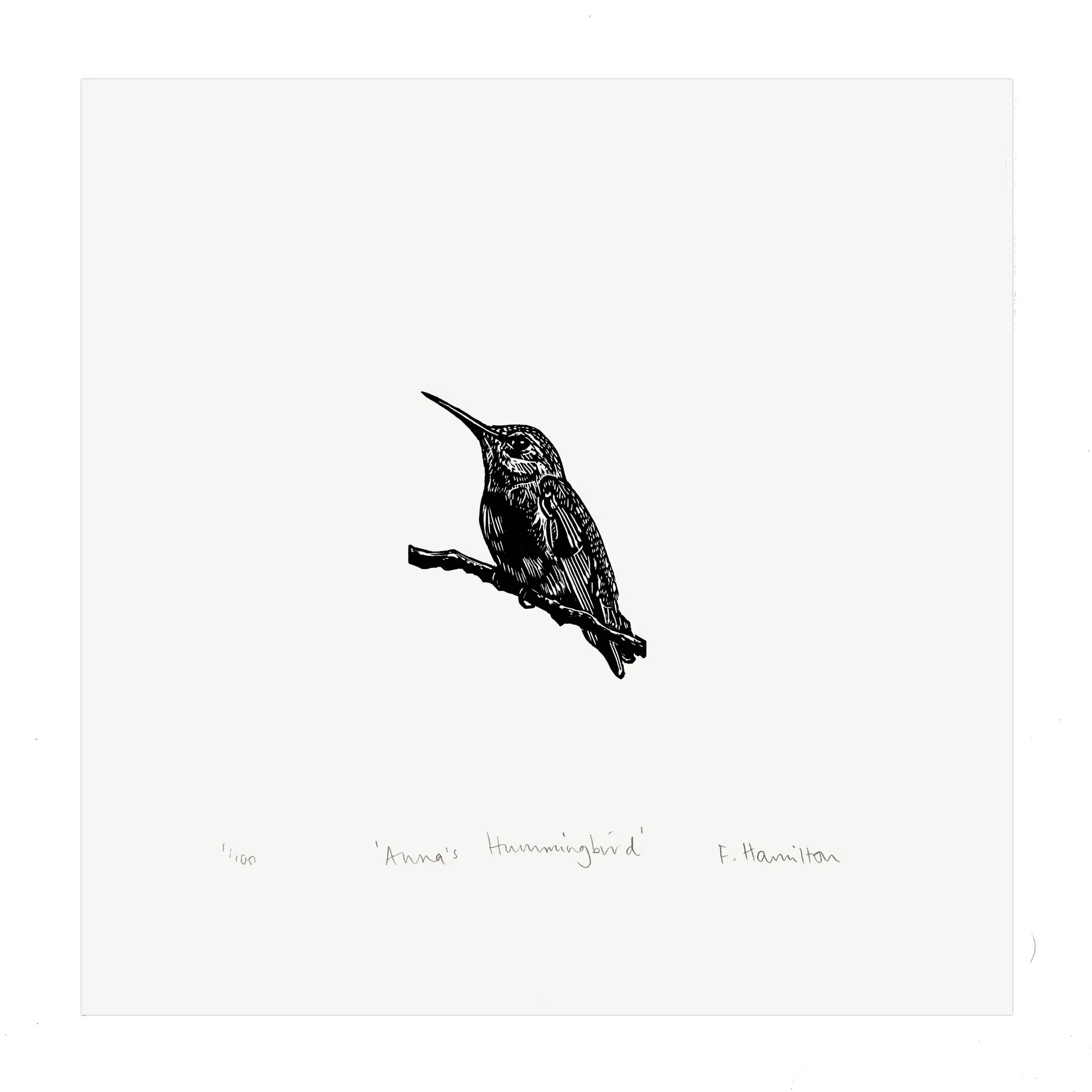 wood-anna-hummingbird-flat-.jpg