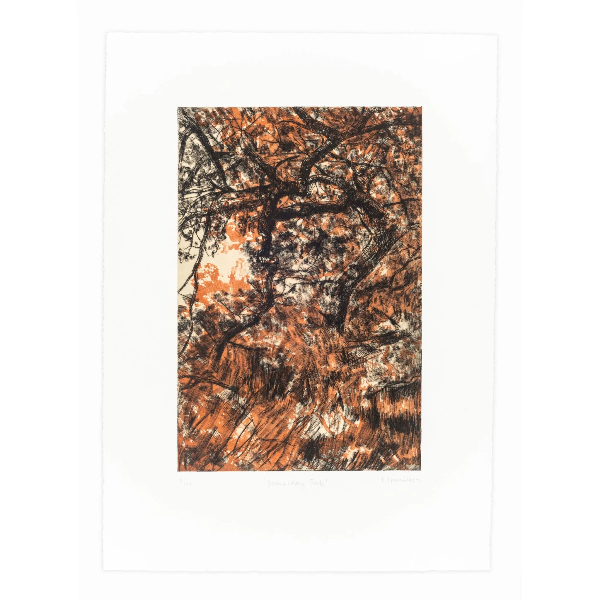 'Domesday Oak', drypoint, lithography and chine collé, 2023