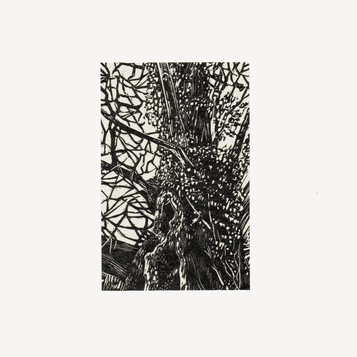 chestnut-and-ivy-crop.jpg