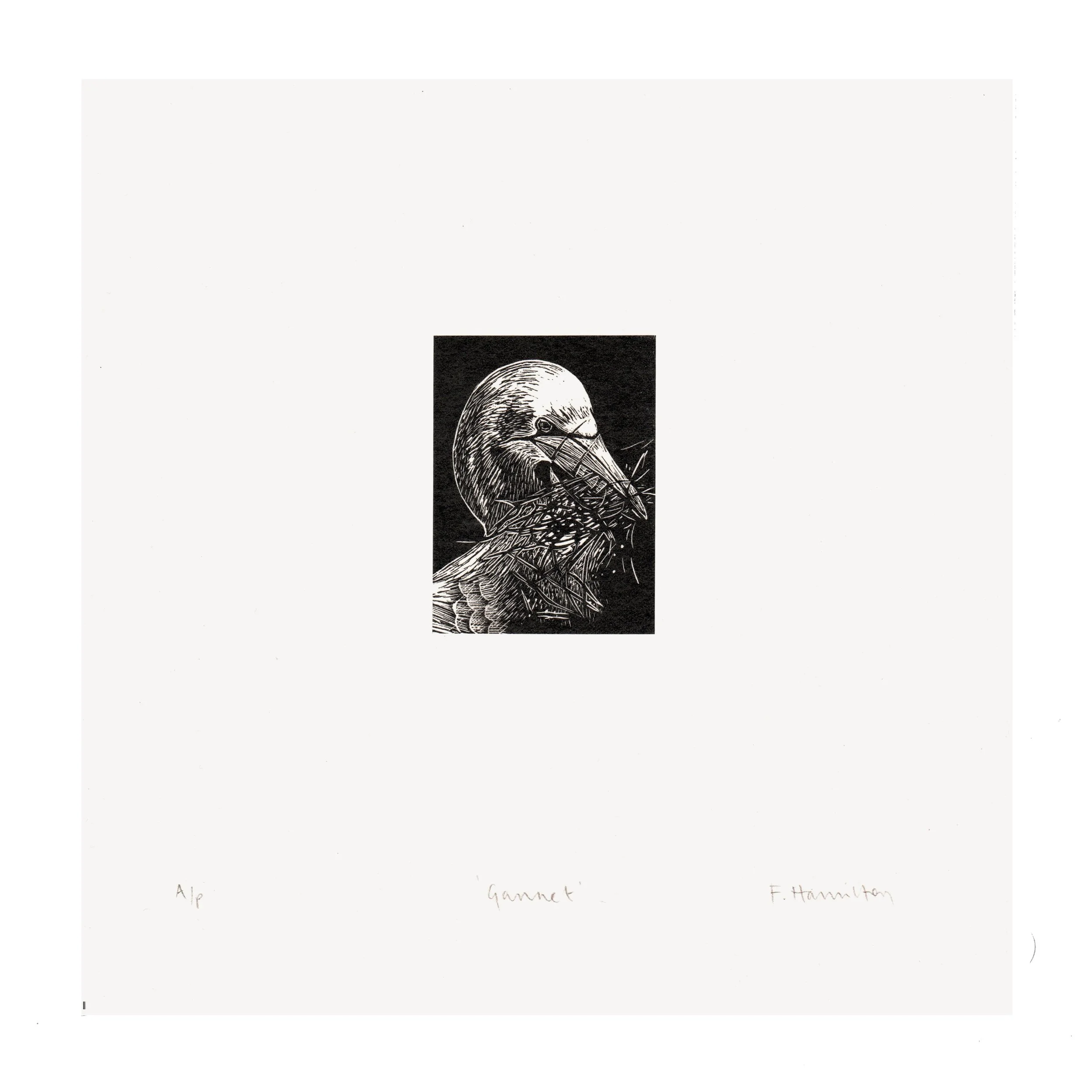 wood gannet flat 1 copy.jpg