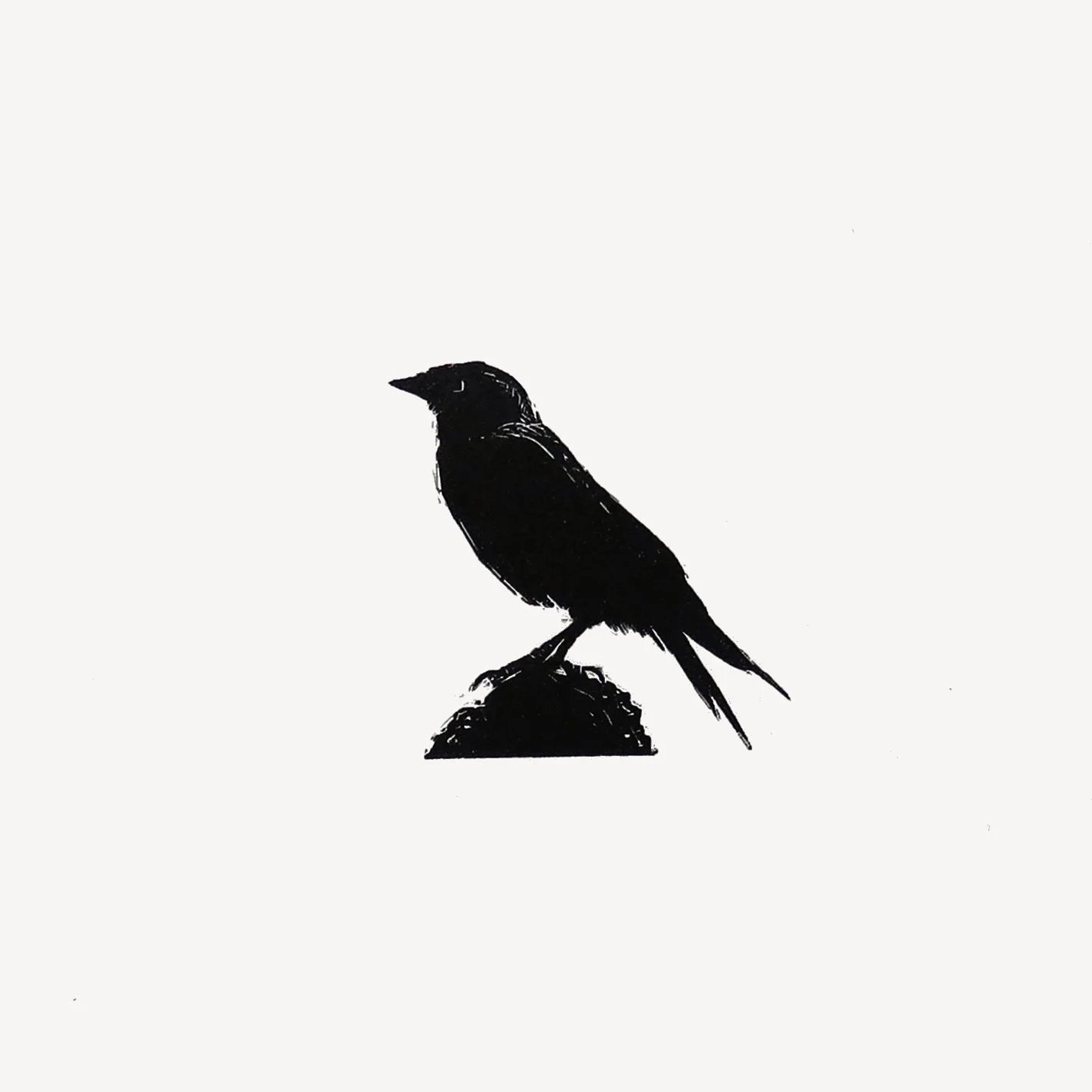 wood jackdaw crop 1.jpg