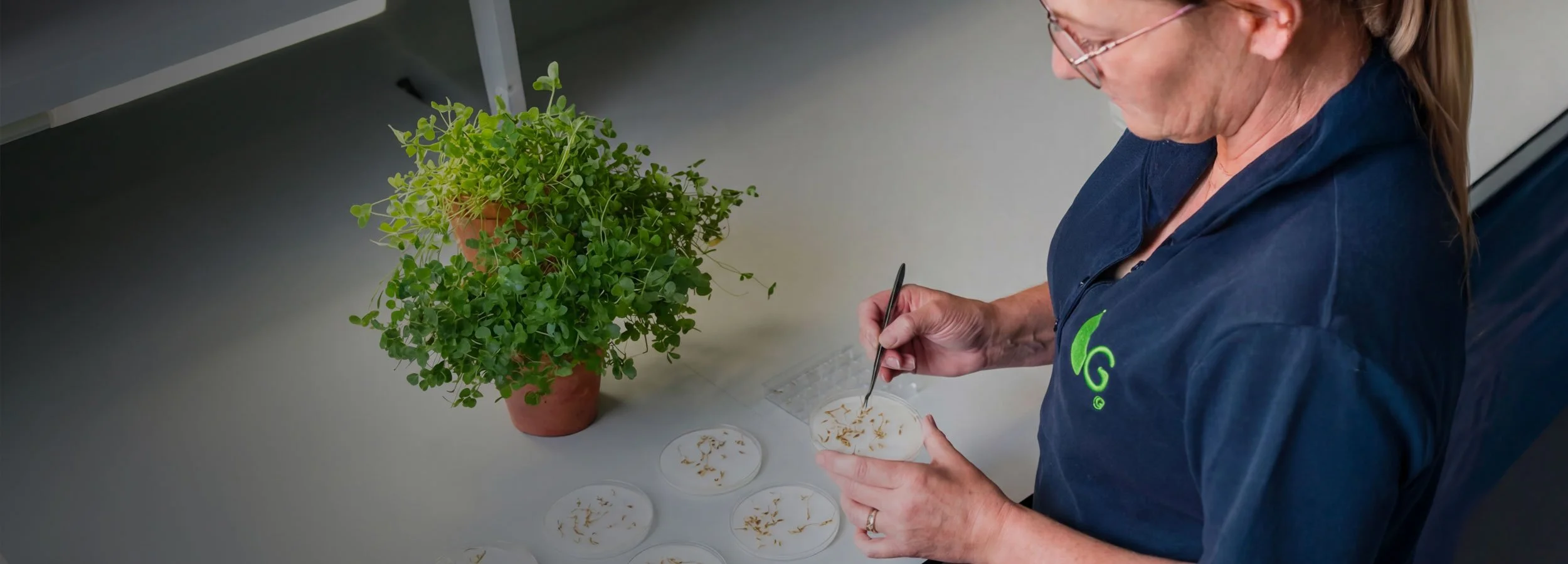   Germinal Horizon  Discovery for Impact 
