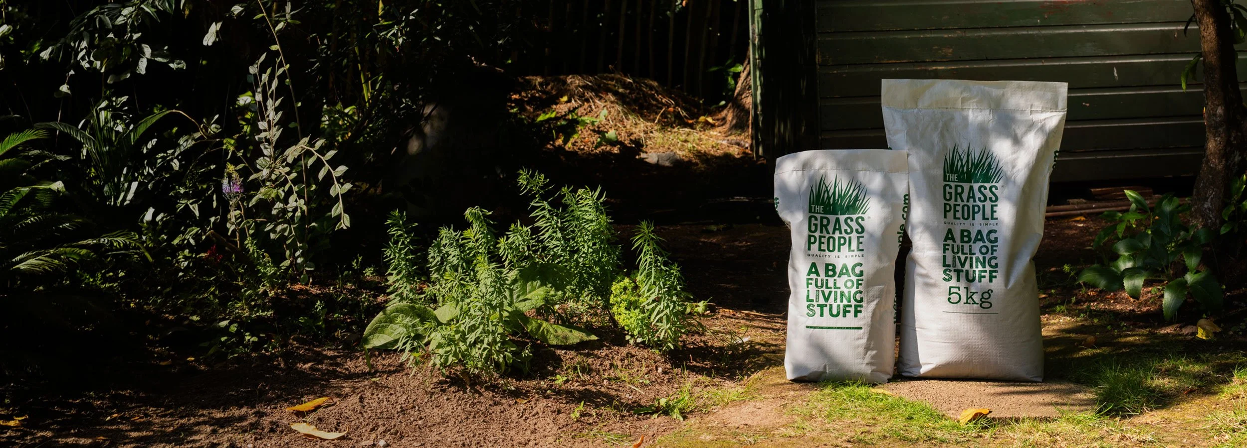  The Grass People Ecommerce domestic lawn seed 