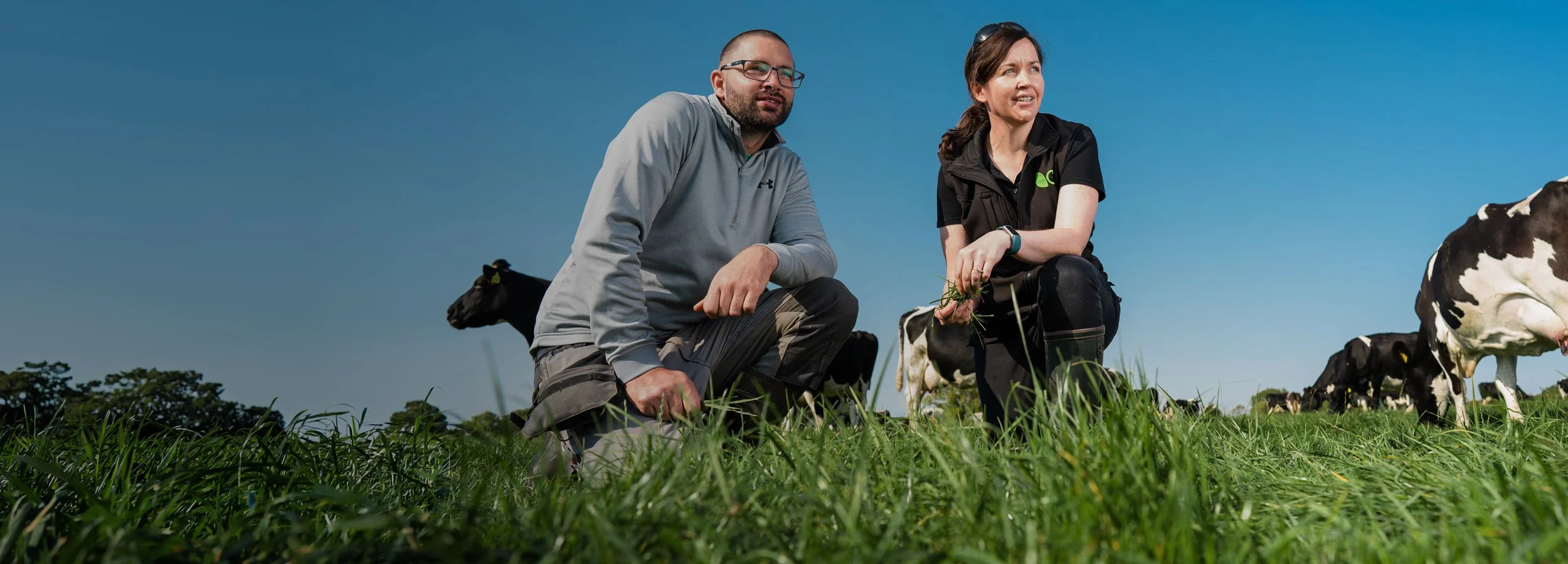   Germinal  Agricultural forage seed 