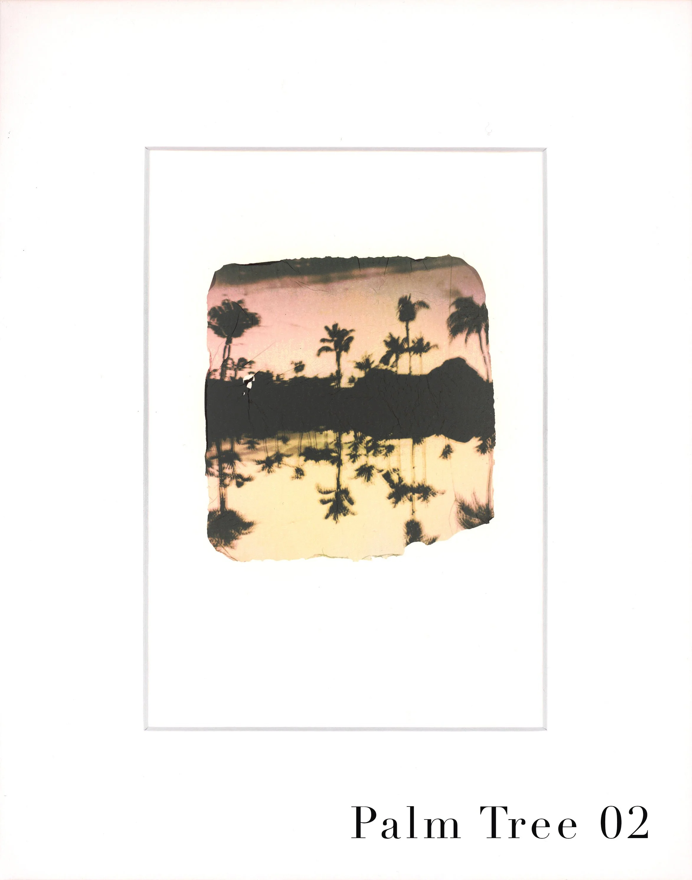 EmulsionTransfer - Palm Tree 02 copy.jpg