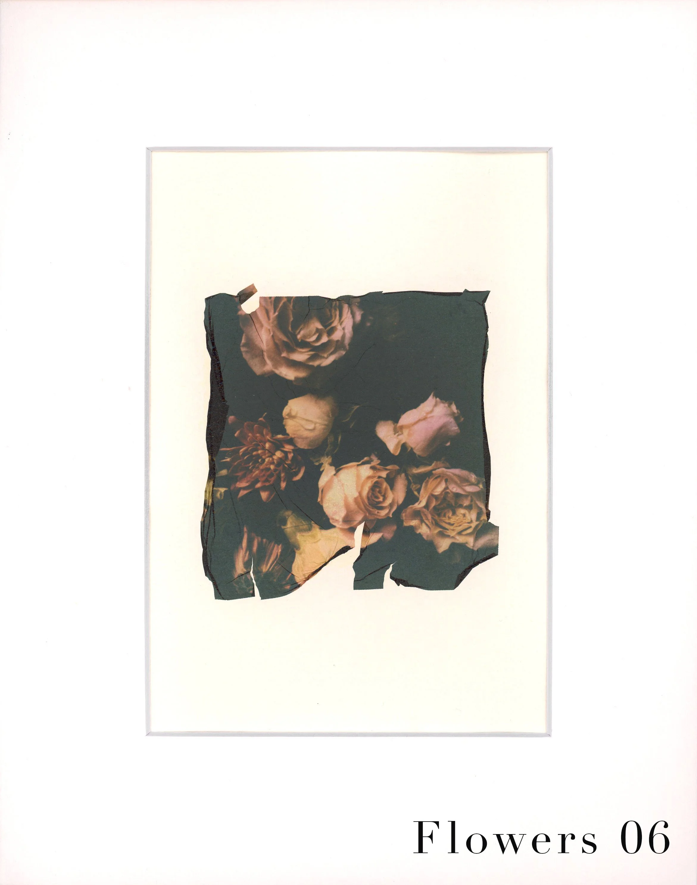 EmulsionTransfer - Flowers 06 copy.jpg