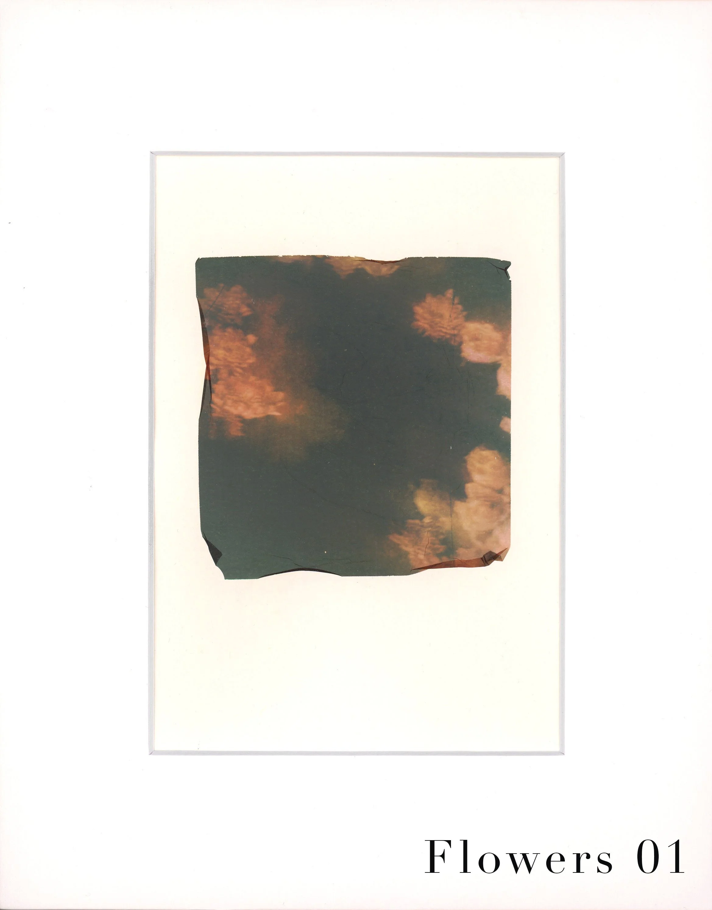 EmulsionTransfer - Flowers 01 copy.jpg