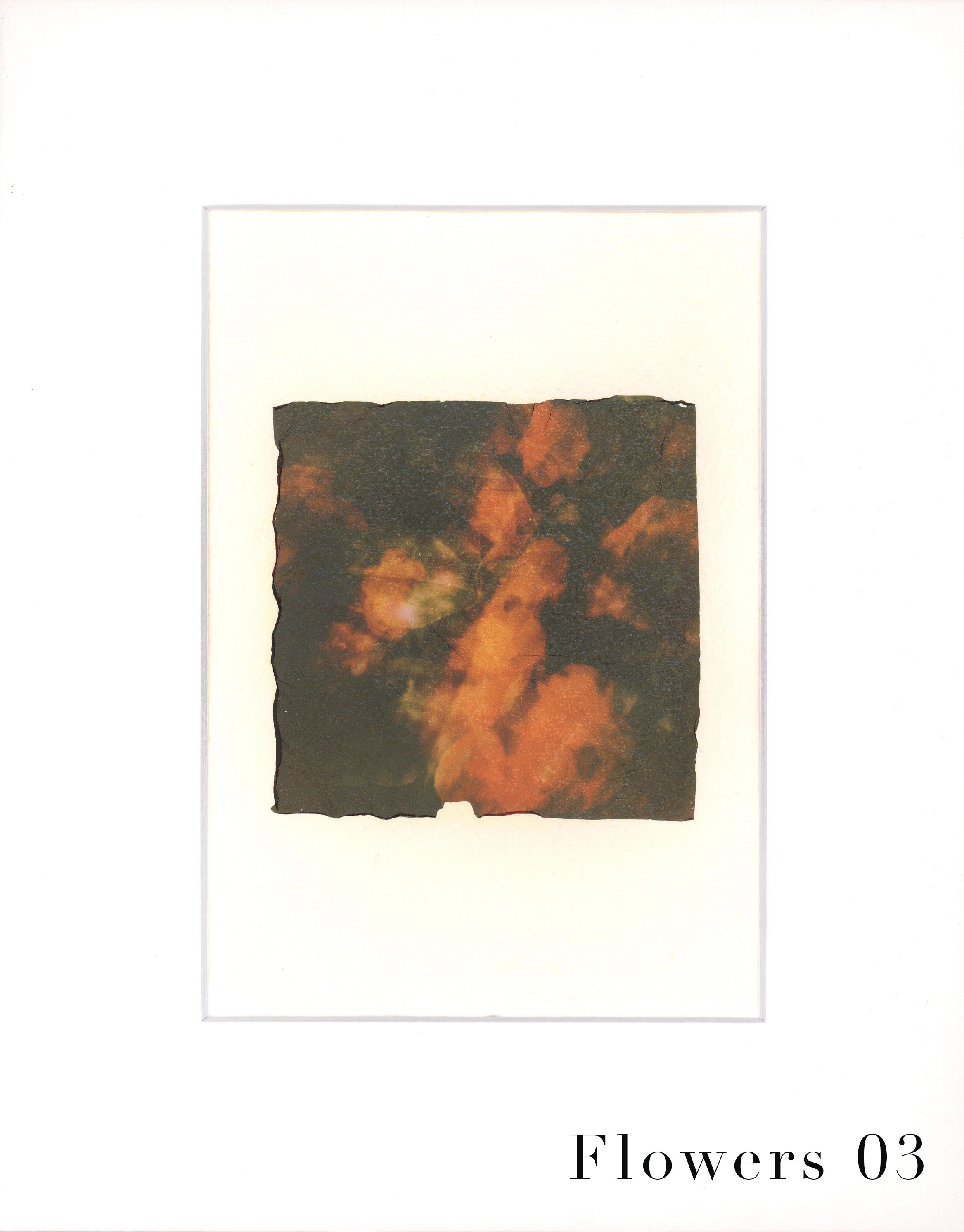 EmulsionTransfer - Flowers 03 copy.jpg