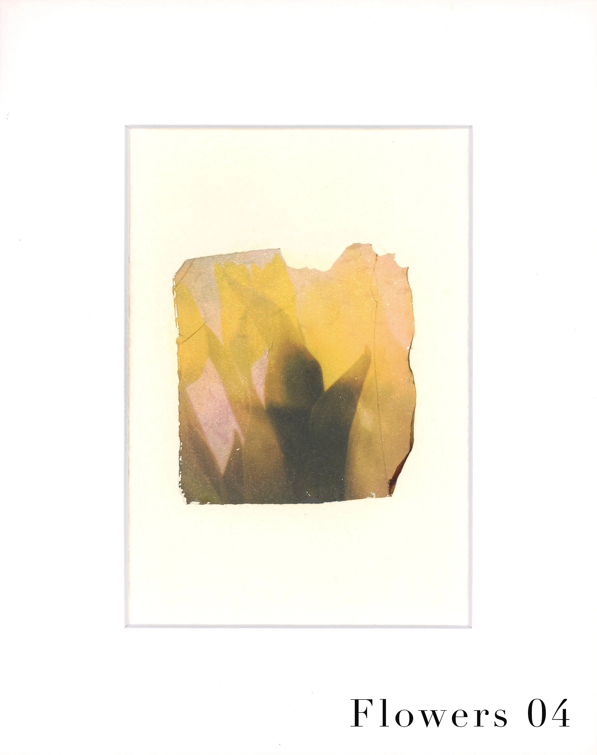 EmulsionTransfer - Flowers 04 copy.jpg