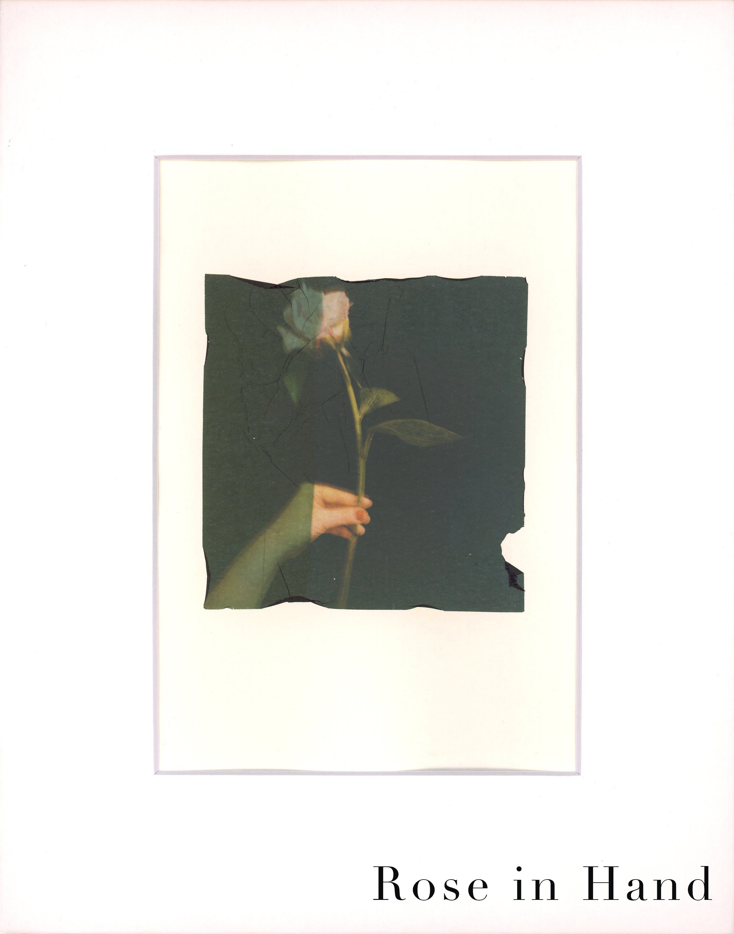 EmulsionTransfer - rose in hand copy.jpg